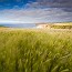 thumbs/IMG_4182.jpg